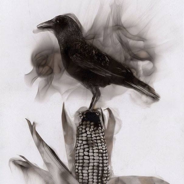 يستخدم الفنان الكندي ستيفن سبازوك دخان الشموع والمشاعل لرسم لوحاته ..  Attachment