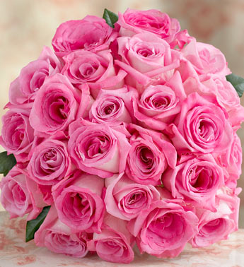 Click image for larger version

Name:	user4_pic27_1232149916.jpg
Views:	2
Size:	42.1 KB
ID:	1294081