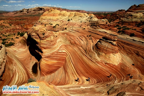 Click image for larger version

Name:	4.jpg
Views:	1
Size:	190.8 KB
ID:	1348004
