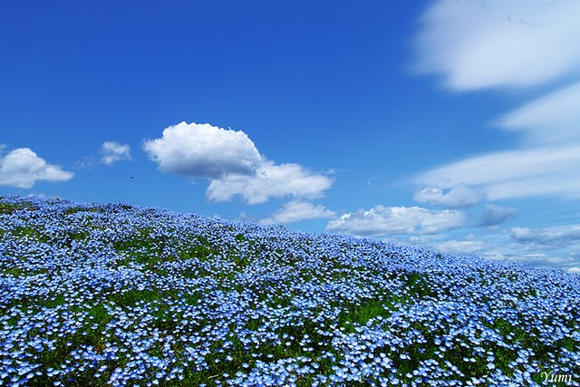 Click image for larger version

Name:	9.jpg
Views:	1
Size:	102.4 KB
ID:	1348689