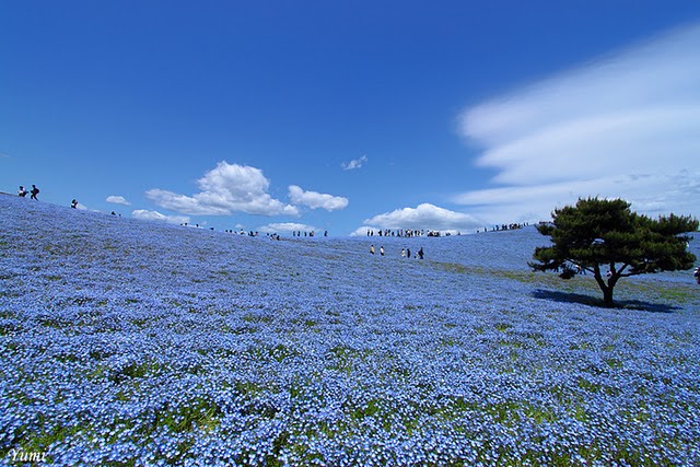 Click image for larger version

Name:	11.jpg
Views:	1
Size:	108.4 KB
ID:	1348698