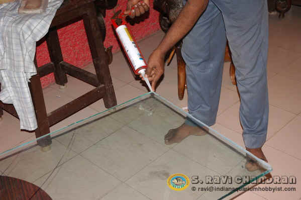 Click image for larger version

Name:	11.jpg
Views:	2
Size:	23.6 KB
ID:	1293573
