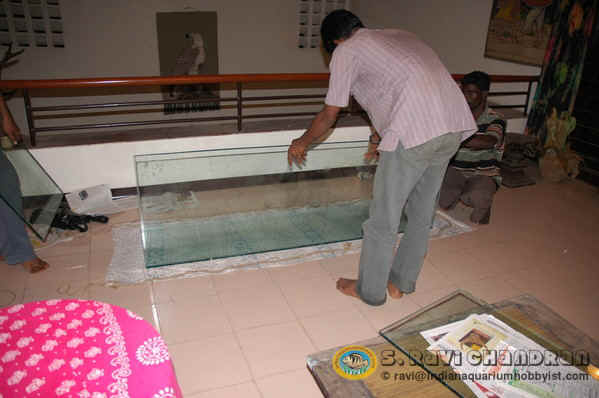 Click image for larger version

Name:	11.jpg
Views:	1
Size:	24.8 KB
ID:	1293577