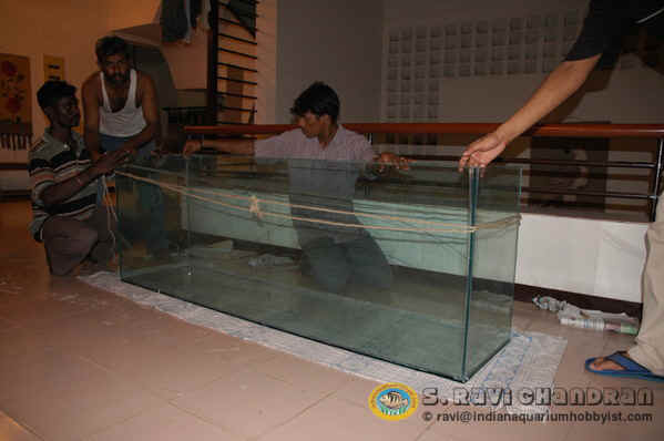 Click image for larger version

Name:	5.jpg
Views:	1
Size:	21.2 KB
ID:	1293588