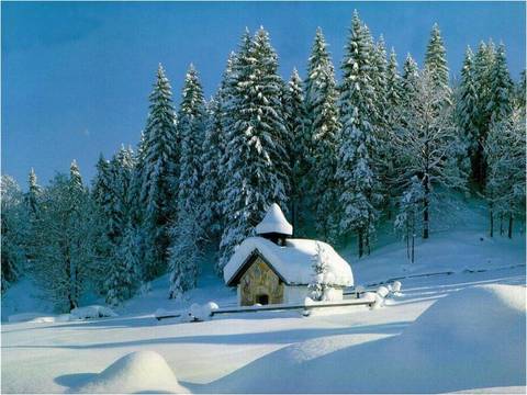 Click image for larger version

Name:	3.jpg
Views:	1
Size:	34.3 KB
ID:	1293617