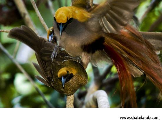 Click image for larger version

Name:	18.jpg
Views:	1
Size:	33.8 KB
ID:	1349083