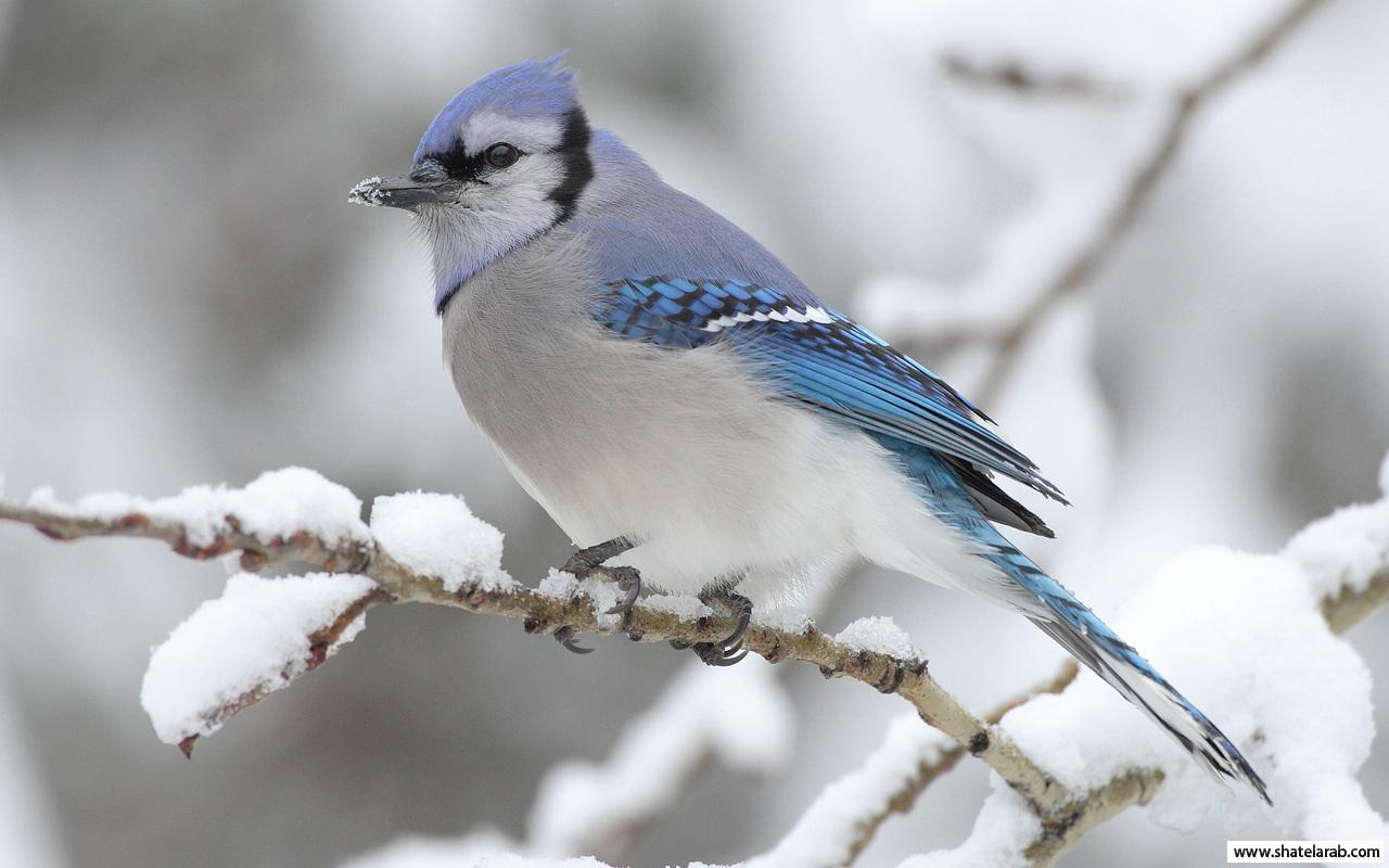 Click image for larger version

Name:	17.jpg
Views:	1
Size:	88.2 KB
ID:	1349084