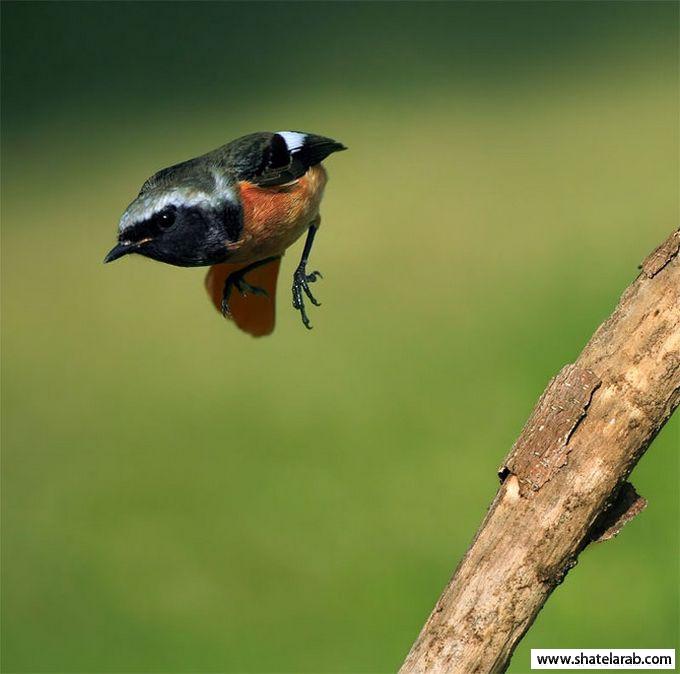 Click image for larger version

Name:	14.jpg
Views:	1
Size:	39.6 KB
ID:	1349087