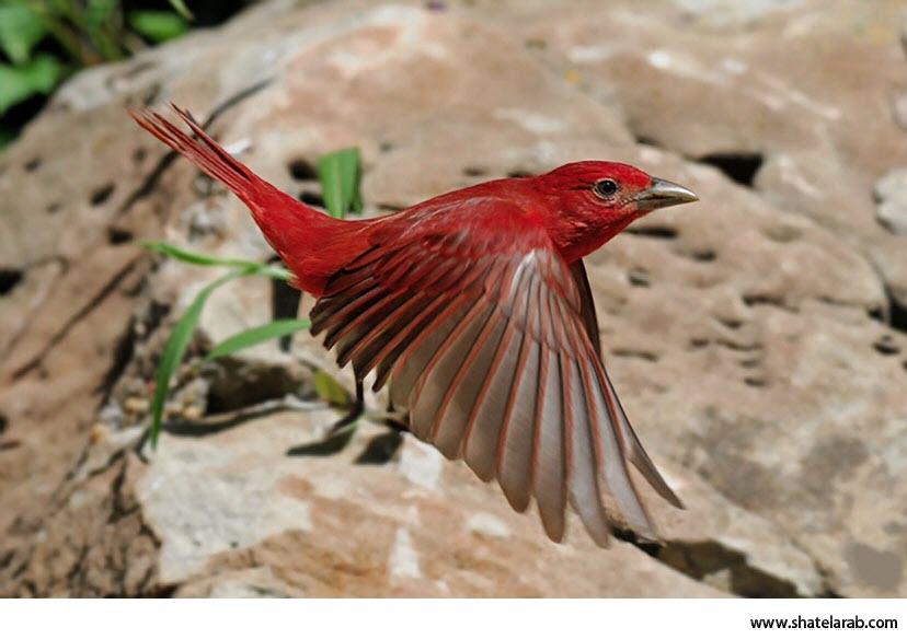 Click image for larger version

Name:	12.jpg
Views:	1
Size:	56.3 KB
ID:	1349088