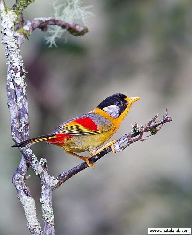 Click image for larger version

Name:	13.jpg
Views:	1
Size:	61.0 KB
ID:	1349089