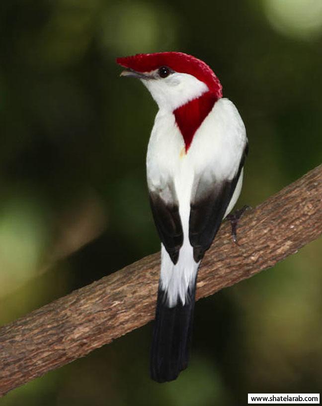 Click image for larger version

Name:	11.jpg
Views:	1
Size:	42.8 KB
ID:	1349090