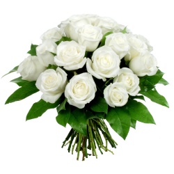 Click image for larger version

Name:	vienne.jpg
Views:	2
Size:	21.1 KB
ID:	1293755