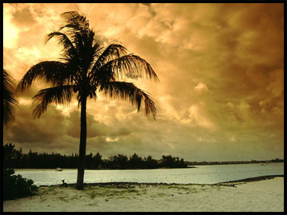 Click image for larger version

Name:	77422_shatelarab_com.jpg
Views:	1
Size:	53.6 KB
ID:	1349222