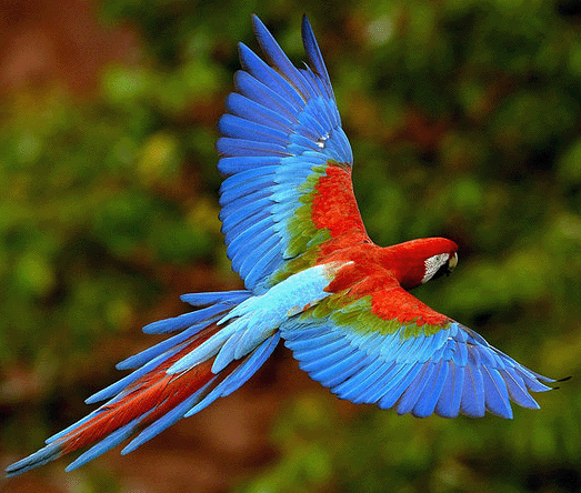 Click image for larger version

Name:	5612.gif
Views:	1
Size:	131.0 KB
ID:	1293883