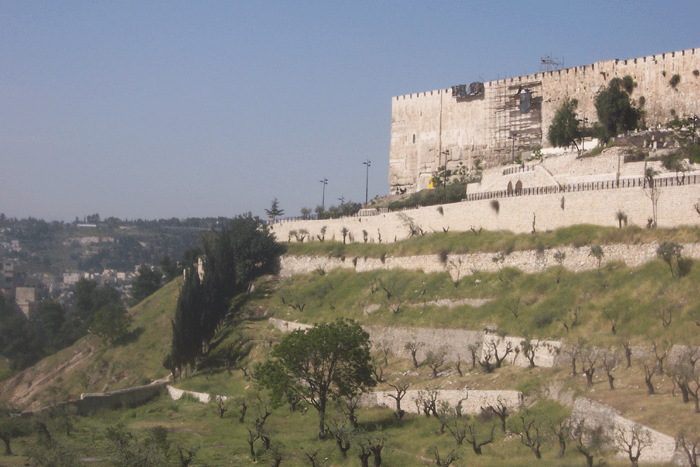 Click image for larger version

Name:	التطويبات.gif
Views:	1
Size:	219.7 KB
ID:	1293885