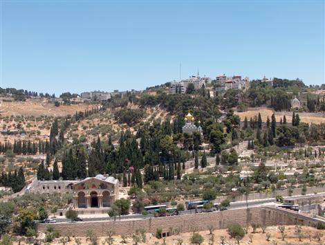 Click image for larger version

Name:	جبل الزيتون.JPG
Views:	1
Size:	48.7 KB
ID:	1293889