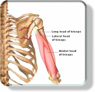 Click image for larger version

Name:	4.jpg
Views:	1
Size:	16.2 KB
ID:	1349241