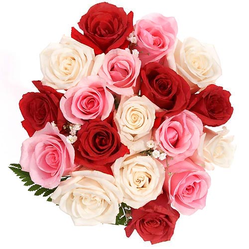 Click image for larger version

Name:	54054.gif.jpg
Views:	1
Size:	68.2 KB
ID:	1294046