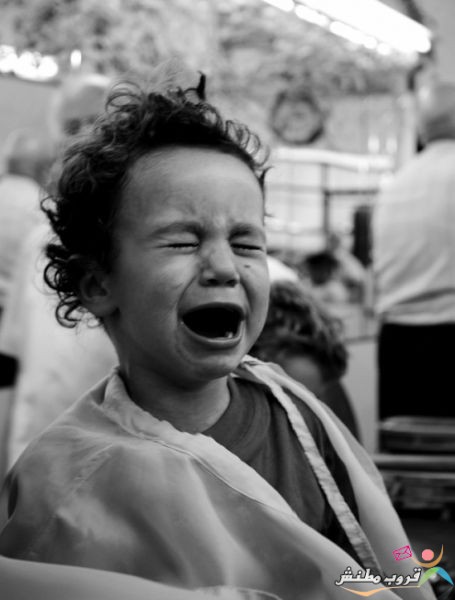 Click image for larger version

Name:	my_first_haircut_640_13.jpg
Views:	1
Size:	44.2 KB
ID:	1294316