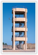 Click image for larger version

Name:	AzraqOasisWheels1.jpg
Views:	1
Size:	11.4 KB
ID:	1294437