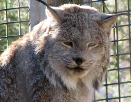 Click image for larger version

Name:	����� ������1.png
Views:	1
Size:	483.8 KB
ID:	1294660