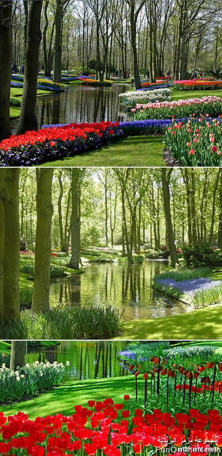 Click image for larger version

Name:	11.jpg
Views:	1
Size:	162.2 KB
ID:	1294684