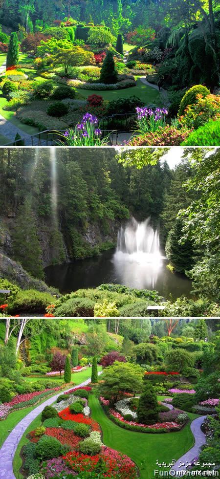Click image for larger version

Name:	11.jpg
Views:	1
Size:	154.8 KB
ID:	1294688