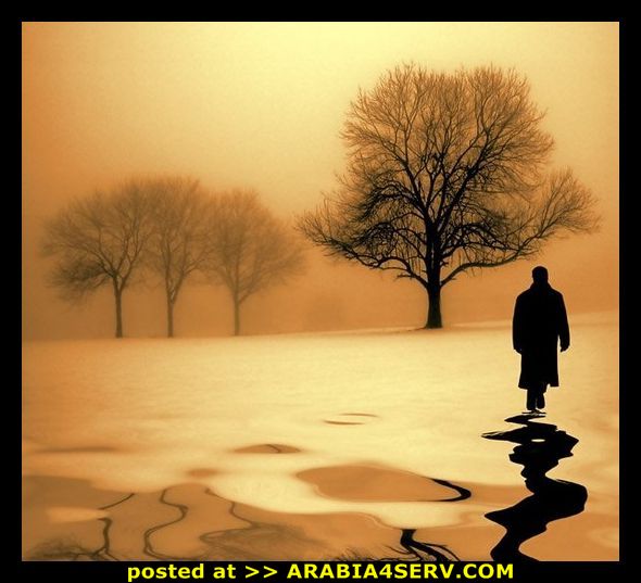 Click image for larger version

Name:	3a778c86b1df2b8cba3dabe4bf78682a.jpg
Views:	1
Size:	50.4 KB
ID:	1352625
