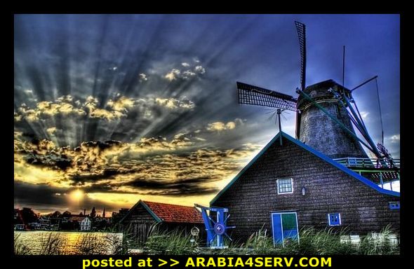Click image for larger version

Name:	6ee29198213ecd278261fbd211c505cb.jpg
Views:	1
Size:	60.5 KB
ID:	1352629