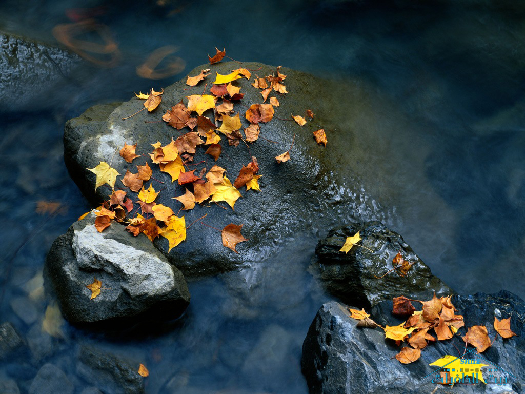Click image for larger version

Name:	1-3.jpg
Views:	1
Size:	582.0 KB
ID:	1294701