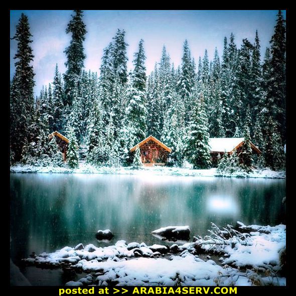 Click image for larger version

Name:	0681e61dcc50ca58744d6c3c97e500a6.jpg
Views:	1
Size:	109.4 KB
ID:	1294709