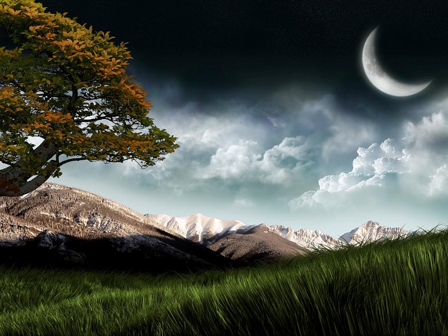 Click image for larger version

Name:	8180db8c57c1296d038f0c3ee4ba3201.jpg
Views:	1
Size:	106.0 KB
ID:	1294712