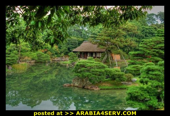 Click image for larger version

Name:	436362.jpg
Views:	1
Size:	76.0 KB
ID:	1294713
