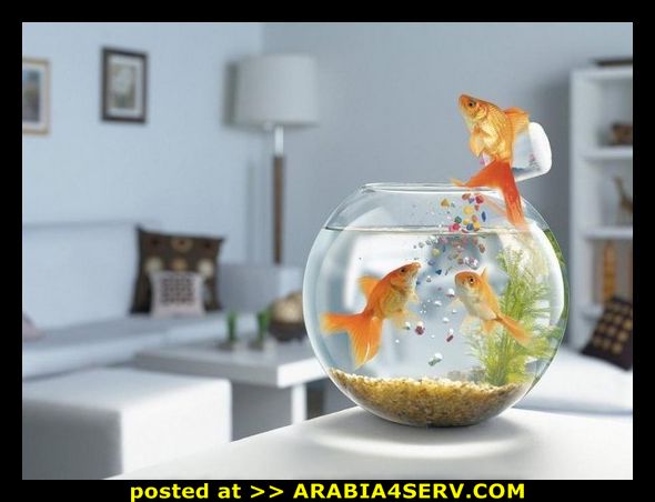 Click image for larger version

Name:	ab1fa3d99a2ab91f8eddad22b68ecf07.jpg
Views:	1
Size:	37.2 KB
ID:	1294717