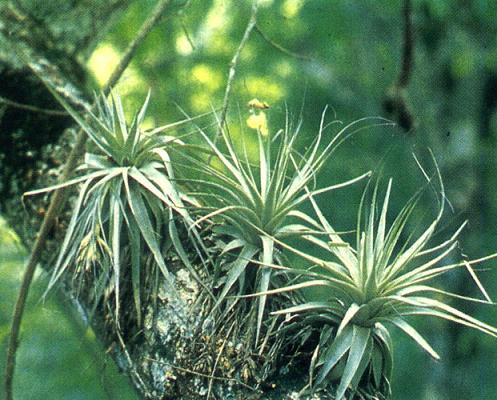 Click image for larger version

Name:	215e1b511e.jpg
Views:	1
Size:	61.4 KB
ID:	1294796