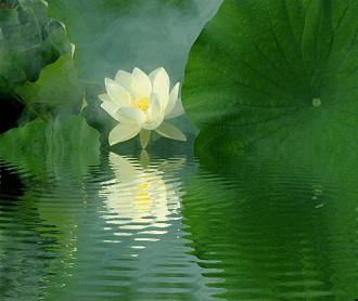 Click image for larger version

Name:	3031353198_fd7988e505.jpg
Views:	1
Size:	118.9 KB
ID:	1352752