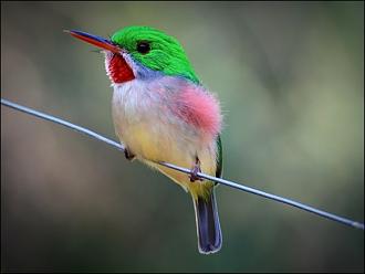Click image for larger version

Name:	4.jpg
Views:	2
Size:	34.7 KB
ID:	1354086