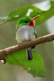 Click image for larger version

Name:	6.jpg
Views:	2
Size:	80.9 KB
ID:	1354088