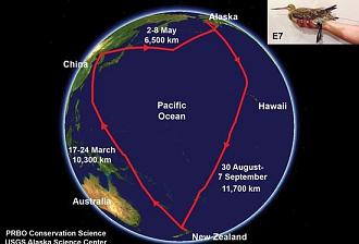 Click image for larger version

Name:	e7_entire_track_rev_dates.jpg
Views:	1
Size:	48.0 KB
ID:	1354195