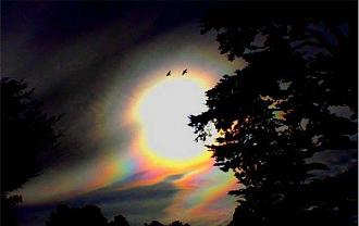 Click image for larger version

Name:	45.jpg
Views:	1
Size:	32.7 KB
ID:	1354239