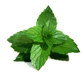 Click image for larger version

Name:	39438.jpg
Views:	1
Size:	17.3 KB
ID:	1296356