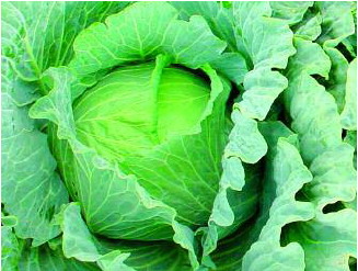 Click image for larger version

Name:	1.jpeg
Views:	1
Size:	38.0 KB
ID:	1296360