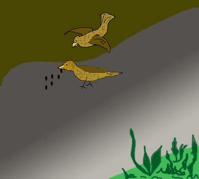 Click image for larger version

Name:	sow1.gif
Views:	1
Size:	58.6 KB
ID:	1356073