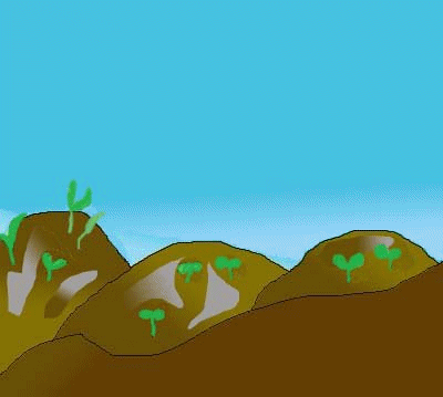 Click image for larger version

Name:	sow1.gif
Views:	1
Size:	94.7 KB
ID:	1356074