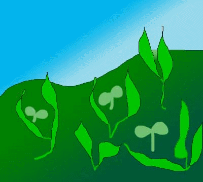 Click image for larger version

Name:	sow1.gif
Views:	1
Size:	65.6 KB
ID:	1356075