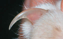 Click image for larger version

Name:	75363361.jpg
Views:	1
Size:	9.4 KB
ID:	1296729
