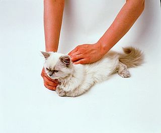 Click image for larger version

Name:	1dc71ef117d5423d9c5dcbdfp1.jpg
Views:	1
Size:	9.9 KB
ID:	1296735