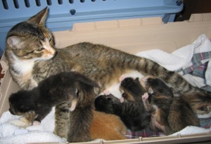 Click image for larger version

Name:	selenaa20070307.jpg
Views:	1
Size:	22.0 KB
ID:	1296737