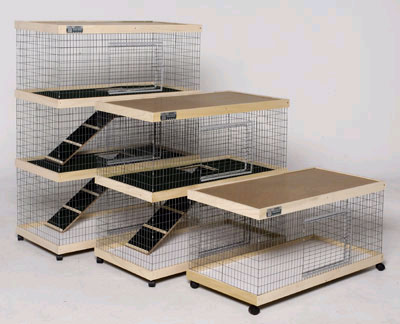 Click image for larger version

Name:	Bunny%20adobe%20condos.jpg
Views:	1
Size:	36.8 KB
ID:	1297002