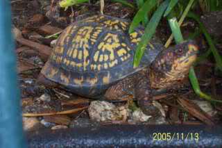 Click image for larger version

Name:	1zl7t50.jpg
Views:	1
Size:	11.3 KB
ID:	1297101